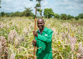 African Agriculture: Can It Emerge as a Global Leader in Sustainability?