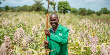 African Agriculture: Can It Emerge as a Global Leader in Sustainability?