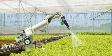 Why Are African Startups Booming Despite Economic Challenges?