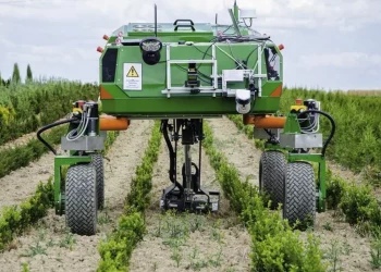 Can Asia Pacific Solve the Global Food Security Crisis?