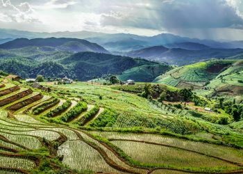 Can Asia Pacific Lead the Way in Sustainable Agriculture?