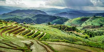 Can Asia Pacific Lead the Way in Sustainable Agriculture?