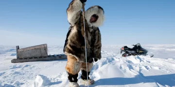 How Are The Inuit Adapting to Climate Change in the Arctic?