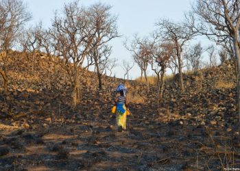 Why Is Africa So Rich in Natural Resources, Yet Struggling Economically?