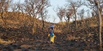 Why Is Africa So Rich in Natural Resources, Yet Struggling Economically?