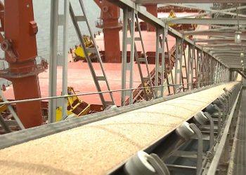 Why Are Latin American Economies So Resilient?