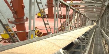 Why Are Latin American Economies So Resilient?