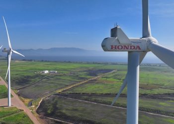 Could Brazil Become the Global Leader in Renewable Energy?