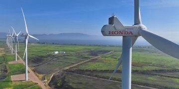 Could Brazil Become the Global Leader in Renewable Energy?