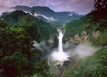 South America’s Biodiversity: Really Unmatched?