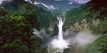 South America’s Biodiversity: Really Unmatched?