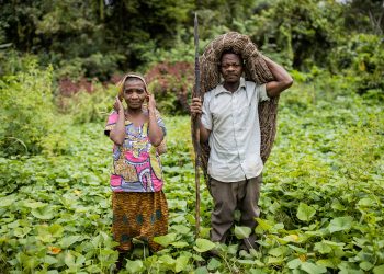 How Did Indigenous Cultures Shape the Americas?