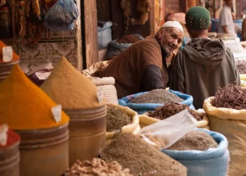 What Makes Middle Eastern Cuisine So Unique?