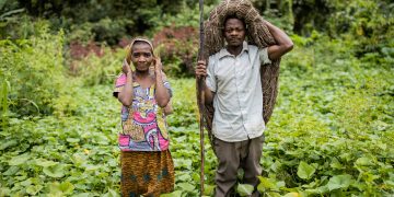 How Did Indigenous Cultures Shape the Americas?