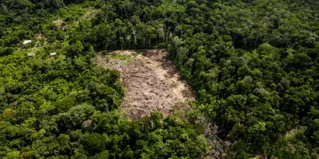 Can Sustainable Development Work in the Amazon Region?