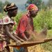 Africa: The Next Global Food Basket?