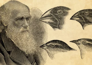 Why Are the Galápagos Islands Still a Hotspot for Scientific Research?