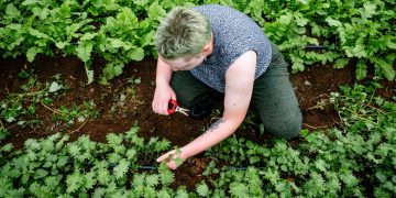 Can We Overcome Global Food Insecurity?