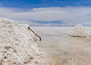 Could South America Become a Leader in Electric Vehicle Production?