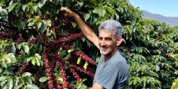 Why Is Brazil’s Coffee Industry a Global Powerhouse?